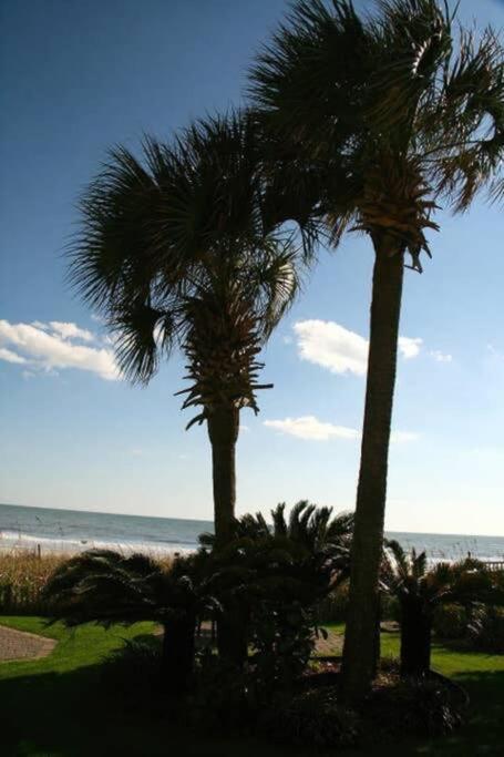 *Renovated Oceanfront Condo*Queen Beds*Pools*Hot Tubs*More*P220 Myrtle Beach Zewnętrze zdjęcie